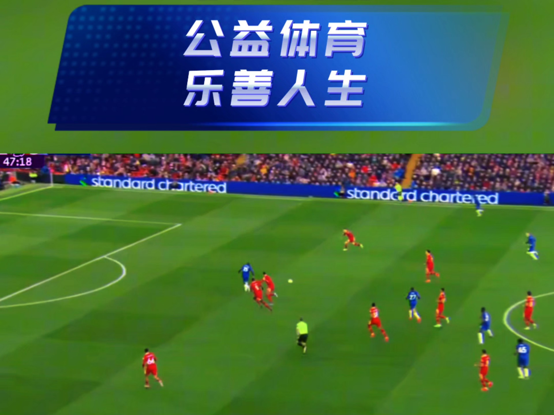 横波和纵波动画演示gif 横波和纵波动画演示gif